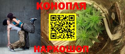 сатива Волжский
