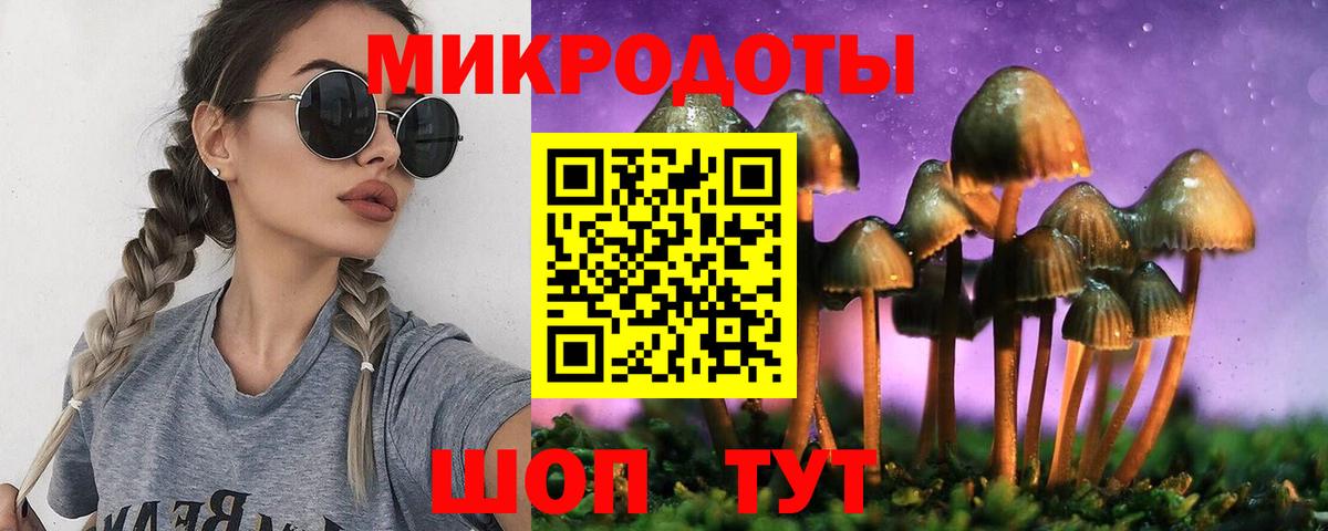 Галлюциногенные грибы Psilocybe Кинешма